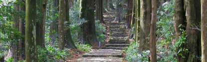 熊野古道の写真